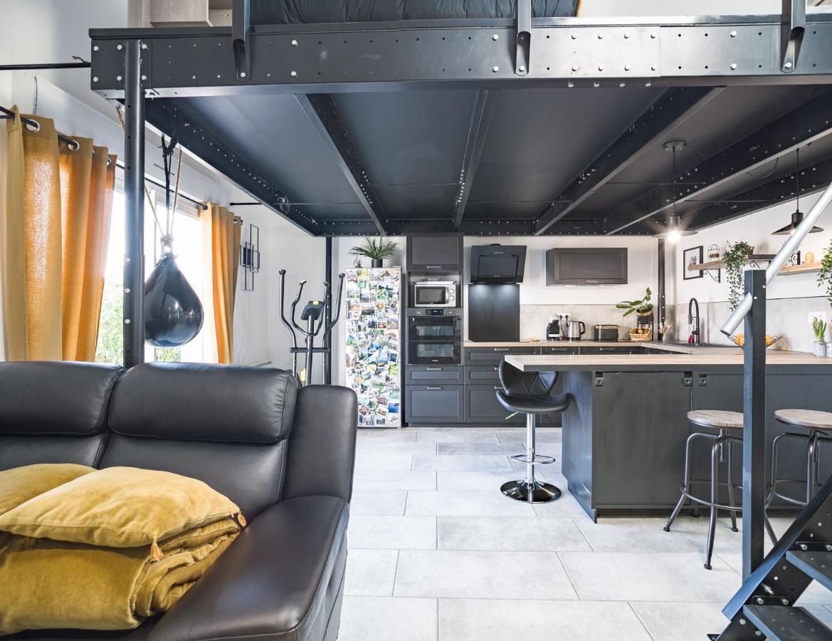 Loft Avec Jardin Et Parking Prive Leilighet Troyes Eksteriør bilde